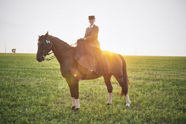 Porträt eines Dressurpferdes und eines Reiters beim Training auf einem Feld bei Sonnenuntergang - CUF15131