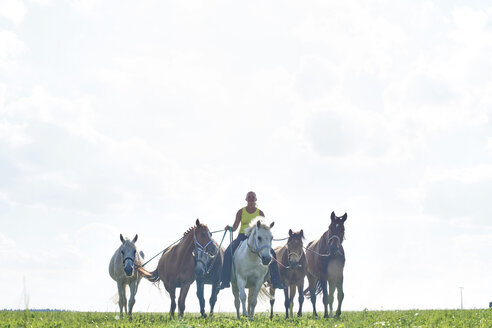 Mittlere erwachsene Frau reitet und führt sechs Pferde auf einem Feld - CUF15132