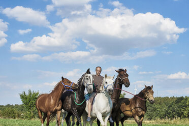 Mittlerer erwachsener Mann reitet und führt sechs Pferde auf einem Feld - CUF15133