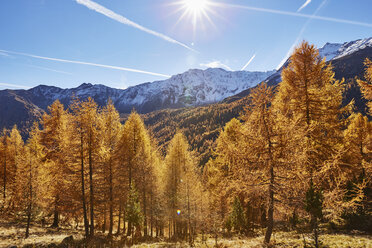 Panoramablick, Schnalstal, Südtirol, Italien - CUF15557