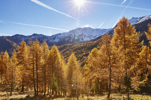 Panoramablick, Schnalstal, Südtirol, Italien - CUF15557