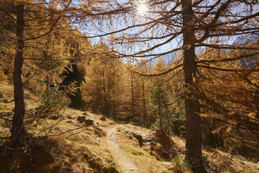 Scenic view, Schnalstal, South Tyrol, Italy - CUF15564