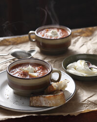 Steaming roasted tomato soup in cup - CUF15565