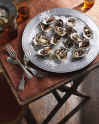 Oysters on sea salt - CUF15571