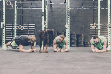 Drei männliche Crosstrainer machen Liegestütze, während der Hund im Fitnessstudio zurückschaut - CUF15612