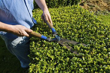 Cropped shot of man trimming hedge with garden shears - CUF15630