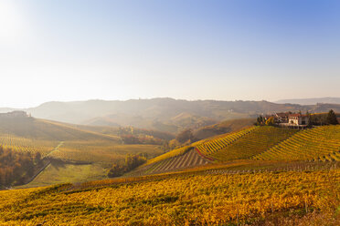 Landschaftsansicht mit herbstlichen Weinbergen und einem Bergdorf, Langhe, Piemont, Italien - CUF16132