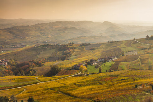 Erhöhte Ansicht von Tälern und entfernten Herbstweinbergen, Langhe, Piemont, Italien - CUF16134