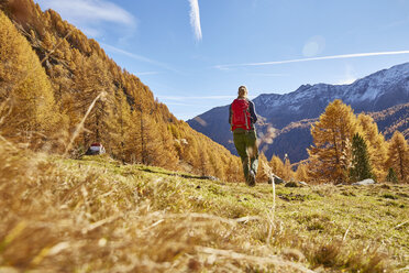 Frau beim Wandern, Rückansicht, Schnalstal, Südtirol, Italien - CUF16298