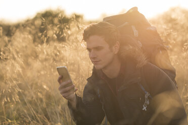 Junger Mann auf einem Feld, der auf sein Smartphone schaut - CUF16310