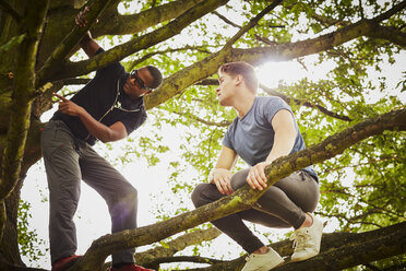 Man with personal trainer instructing how to climb tree in park - CUF16363