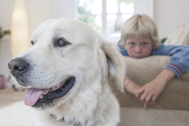 Nahaufnahme eines Hundes, ein Junge lehnt auf der Couch im Hintergrund - CUF16432