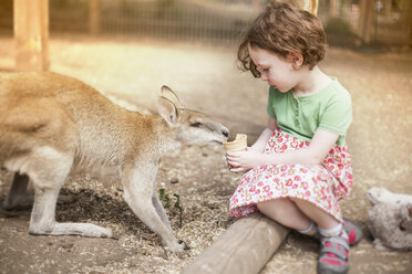 Girl sitting on log feeding kangaroo ice cream cone - CUF16574