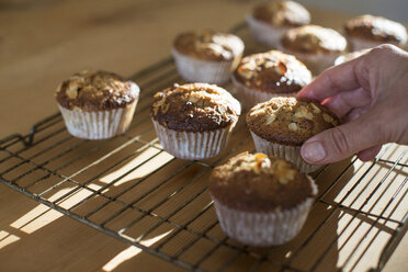 Hand picking up gluten free muffins from cooling tray - CUF16612
