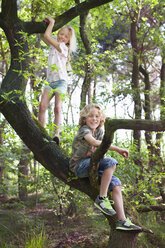 Boy and girl in tree looking at camera smiling - CUF17296
