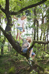 Junge und Mädchen im Baum von Angesicht zu Angesicht lächelnd - CUF17297
