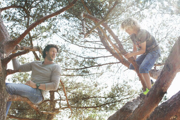 Father and son climbing tree - CUF17299