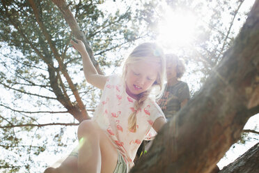 Boy and girl climbing tree - CUF17300