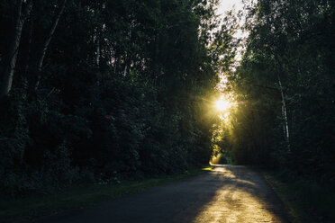 Leere Landstraße durch Wald bei Sonnenuntergang - MJF02263