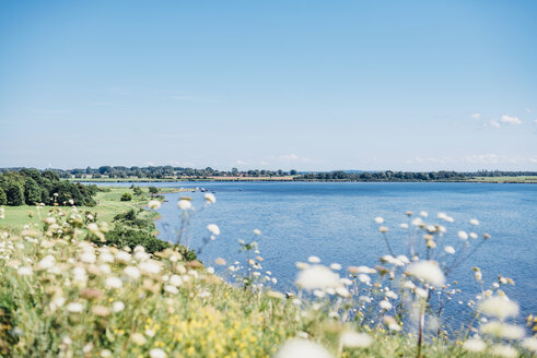 Deutschland, Rügen, Middelhagen, Mönchgut, Küstenlandschaft - MJF02276