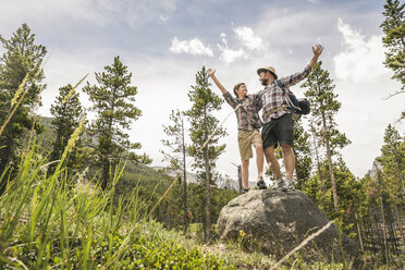 Low angle view of father and son in forest standing on rock arms raised in triumph, Red Lodge, Montana, USA - ISF06409