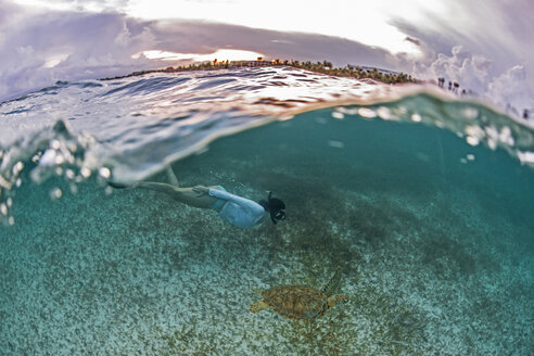 Snorkeler gets close to sea turtle in the shallows of Akumal Bay at sunset, Mexico - ISF06489