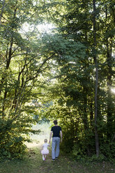 Vater und Tochter gehen durch den Wald, Rückansicht - CUF17473