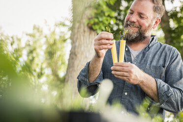 Scientist comparing two seedlings at plant growth research centre - CUF17699