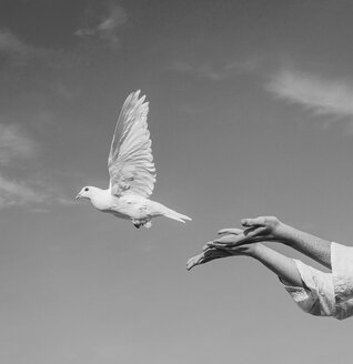 Frau entlässt weiße Taube in den Himmel - ISF06710