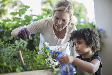 Mother and son doing gardening together - ISF06763