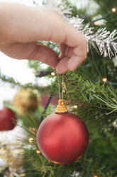 Womans hand hanging bauble on christmas tree - CUF18261