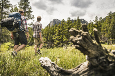 Rear view of father and son hiking in mountains, Red Lodge, Montana, USA - ISF06950