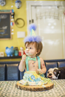 Baby Jungen Haustier Hund starrt auf chaotisch Geburtstagskuchen auf dem Tisch - ISF07050