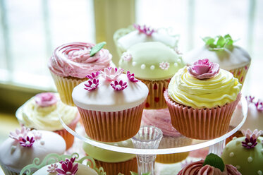 Eine Vielzahl hübscher Cupcakes am Kuchenstand - CUF18891