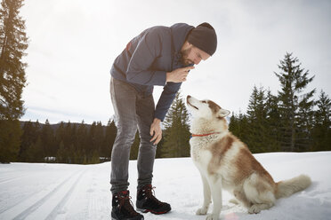 Junger Mann trainiert Husky in verschneiter Landschaft, Elmau, Bayern, Deutschland - CUF18960