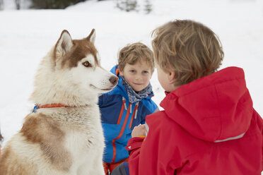 Boy and brother crouching with husky in snow, Elmau, Bavaria, Germany - CUF18966