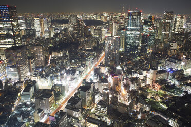 Stadtansicht mit Wolkenkratzern und Lichtern der Stadt bei Nacht, Tokio, Japan - ISF07316