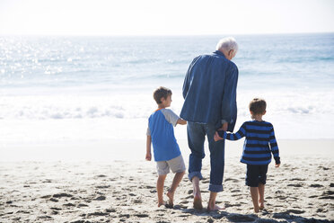 Großvater mit zwei Enkelkindern, Spaziergang am Strand, Rückansicht - ISF07372