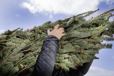 Low angle view of person carrying Christmas tree - ISF07422