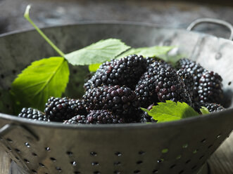 Fresh organic fruit, blackberries in colander with green leaves - CUF18996
