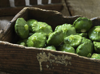 Fresh organic vegetable, green pattypan squash - CUF18997