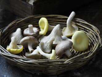 Fresh organic exotic mushroom selection - CUF19001