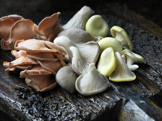 Fresh organic mixed oyster mushrooms - CUF19002