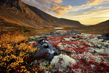 Herbstlich gefärbtes Tal und Fluss Malaya Belaya, Chibiny-Gebirge, Kola-Halbinsel, Russland - CUF19091