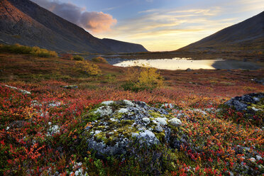 Herbstfarben im Tal des Flusses Malaya Belaya in der Abenddämmerung, Khibiny-Gebirge, Kola-Halbinsel, Russland - CUF19096