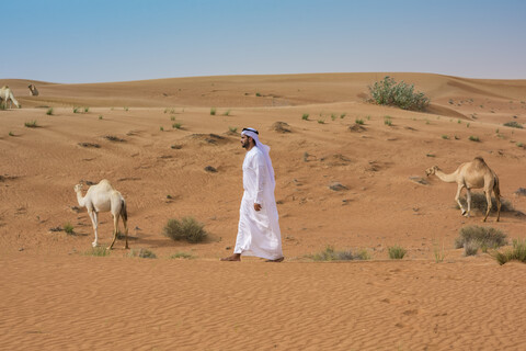 Nahöstlicher Mann in traditioneller Kleidung geht an Kamelen in der Wüste vorbei, Dubai, Vereinigte Arabische Emirate, lizenzfreies Stockfoto
