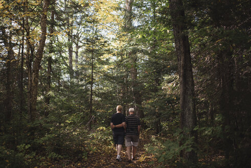 Senior couple walking through forest, rear view - CUF19183