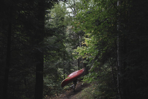 Mid adult woman carrying canoe through forest stock photo