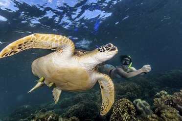 Young woman swimming with rare green sea turtle (Chelonia Mydas), Moalboal, Cebu, Philippines - CUF19280