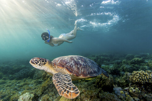 Junge Frau schwimmt mit der seltenen Grünen Meeresschildkröte (Chelonia Mydas), Moalboal, Cebu, Philippinen - CUF19286